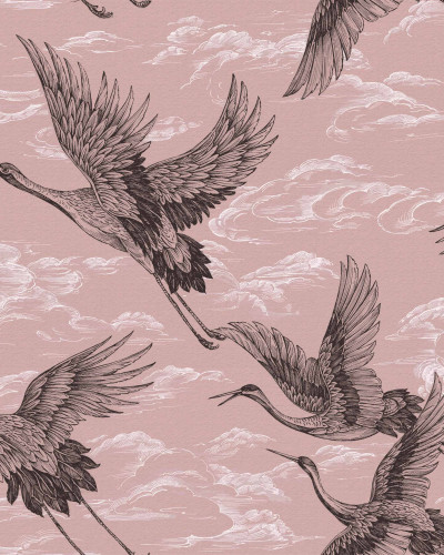 Imperial Ibis, Rose, Coordonne 5mp / rola