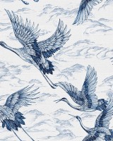 Imperial Ibis, Sapphire, Coordonne 5mp / rola