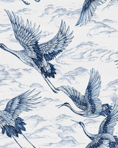 Imperial Ibis, Sapphire, Coordonne 5mp / rola