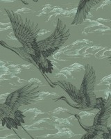 Imperial Ibis, Jade, Coordonne 5mp / rola
