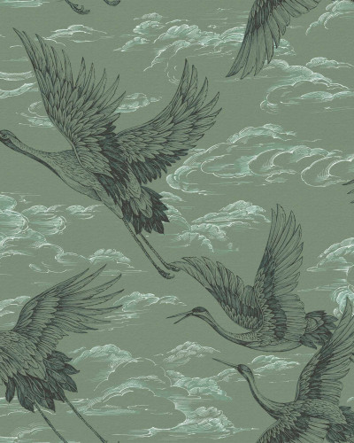 Imperial Ibis, Jade, Coordonne 5mp / rola