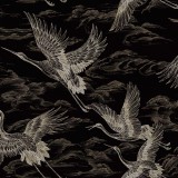 Imperial Ibis, Onyx, Coordonne 5mp / rola