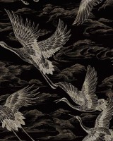 Imperial Ibis, Onyx, Coordonne 5mp / rola