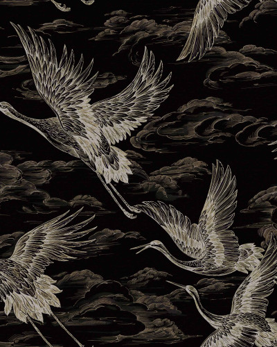 Imperial Ibis, Onyx, Coordonne 5mp / rola
