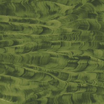 Tapet și Fototapet Coordonne CRD-A00102. Conține culorile: Verde, Verde Ferigă, Verde, Verde Crom, Bej, Bej Verzui