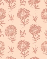 Parterre, Rosa, Coordonne 5mp / rola