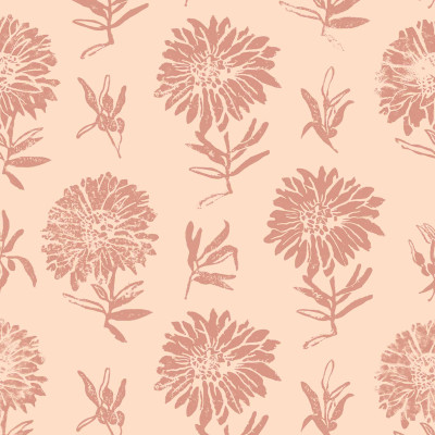 Parterre, Rosa, Coordonne 5mp / rola