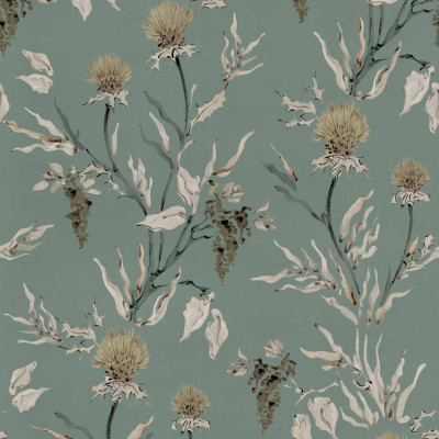 Silvestre, Sage, Coordonne 5mp / rola