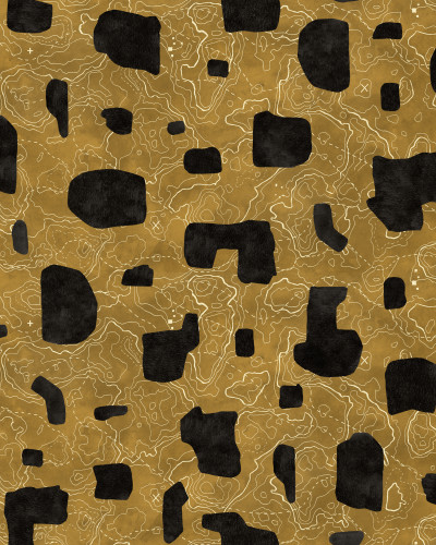 Tapet Map Xylography, Black, model geometric abstract, design modern