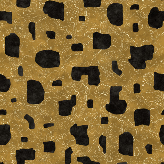 Tapet Map Xylography, Black, model geometric abstract, design modern