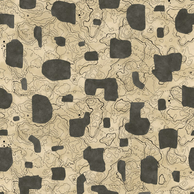 Map Xylography, Grey, TresTintas 5mp / rola