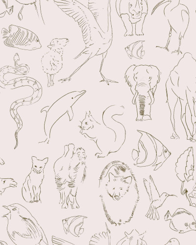 Zoology, Natural, Coordonne 5mp / rola