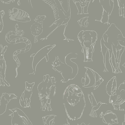 Zoology, Stone, Coordonne 5mp / rola