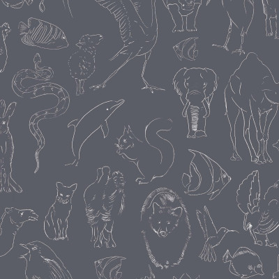 Zoology, Chalk, Coordonne 5mp / rola