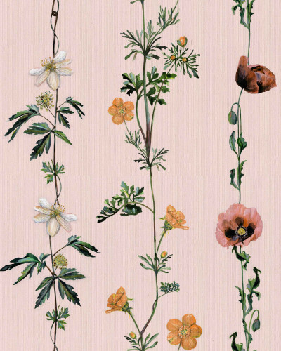 Climbing Flowers, Pink, Coordonne 5mp / rola