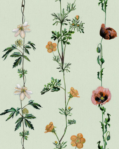 Climbing Flowers, Melon, Coordonne 5mp / rola