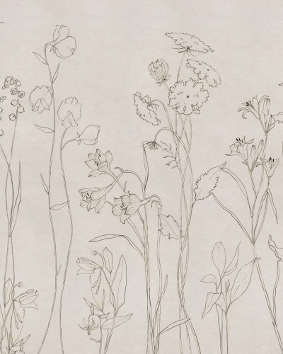 Tapet lavabil Countryside, Ink, cu design minimalist, cu flori și frunze desenate cu cerneală neagră, pe un fond crem.