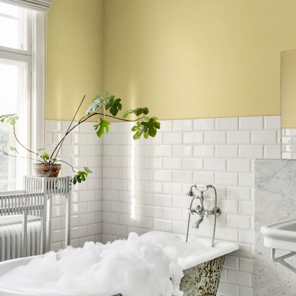 Celine Yellow, Sandberg, 5.3mp / rola