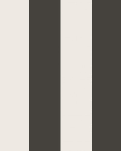 Magnus Graphite, Sandberg, 5.3mp / rola