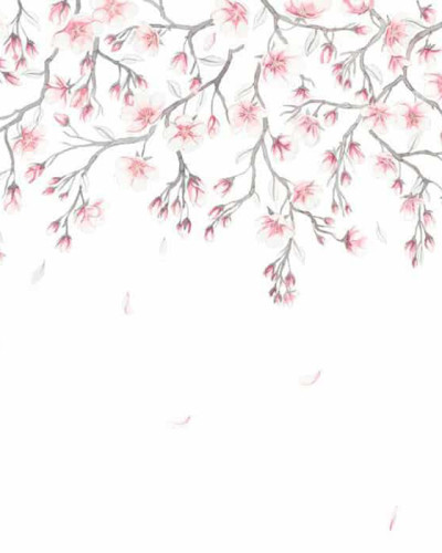 Tapet Sakura Mural Pink cu flori de cires roz pe un perete din living