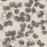 Pine, Brown, Sandberg, 5.3mp / rola