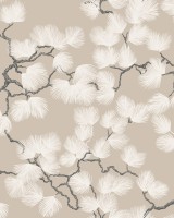 Pine, Beige, Sandberg, 5.3mp / rola