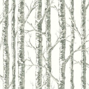 Tapet Paper Birch, neutru, York Wallcoverings, 5.6mp / rola
