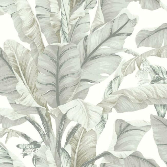Tapet York Wallcoverings YORK-BW3972. Conține culorile: