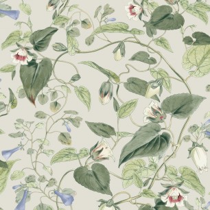 Tapet York Wallcoverings YORK-BL1713. Conține culorile: