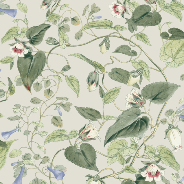 Tapet York Wallcoverings YORK-BL1713. Conține culorile: