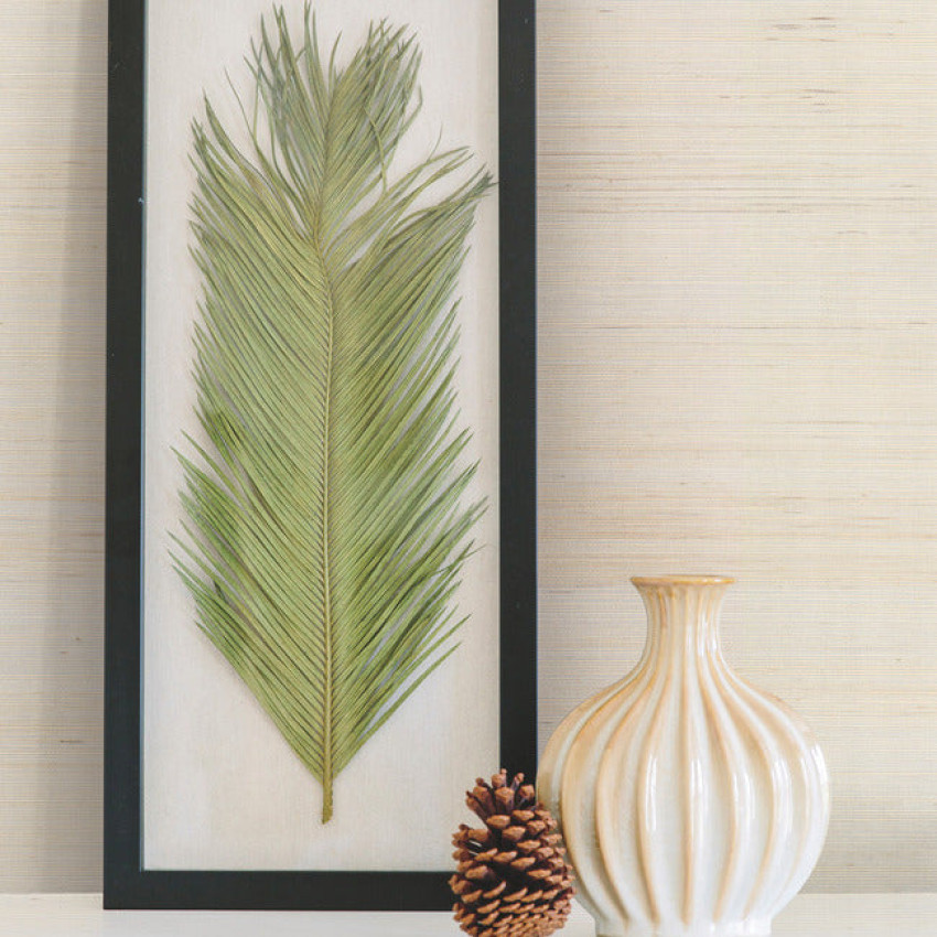 Tapet York Wallcoverings YORK-DE8995. Conține culorile: