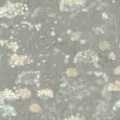 Tapet Botanical Fantasy, Gri/Bleu, York Wallcoverings, 5.6mp / rola