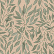 Willow, Peach, Rebel Walls