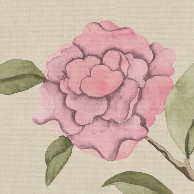 Chinoiserie Botanica, Pink, Rebel Walls