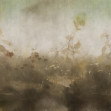 Herbage, Variant 1, Glamora