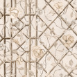 Garden of Secrets, Beige, Rebel Walls