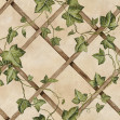 Ivy Trellis, Sand, Rebel Walls