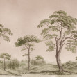 Tree Studies, Pink, Rebel Walls