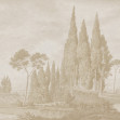 Tall Grove, Beige, Rebel Walls