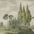 Tall Grove, Green, Rebel Walls