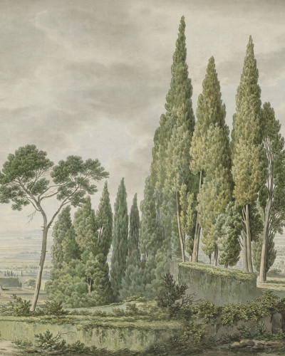 Tall Grove, Green, Rebel Walls