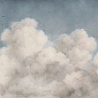 Majestic Clouds, Blue, Rebel Walls