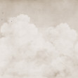Majestic Clouds, Beige, Rebel Walls