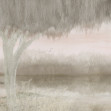 Dusk Lake, Light Gray, Rebel Walls