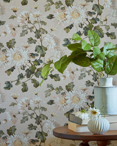 Tapet cu model floral cu crizanteme, Apricot