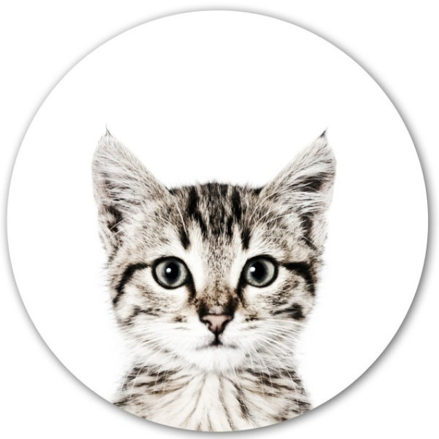 Sticker magnetic pisică pentru camera copilului