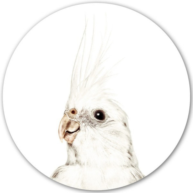 Sticker magnetic papagal pentru camera copilului