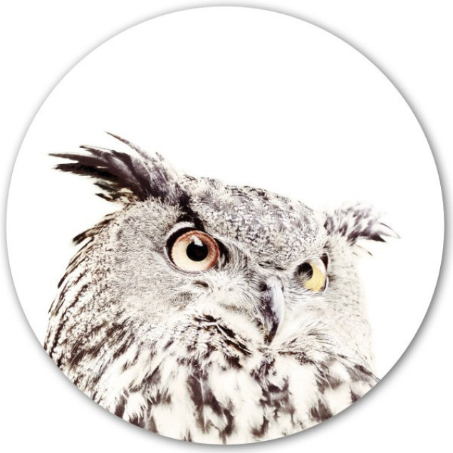 Sticker magnetic bufniță pentru camera copilului