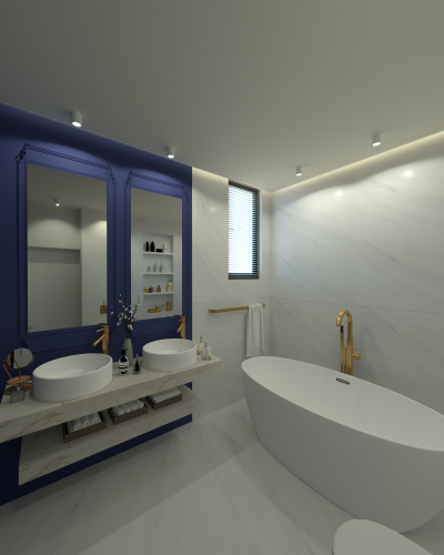 Proiect Casa Dobroesti