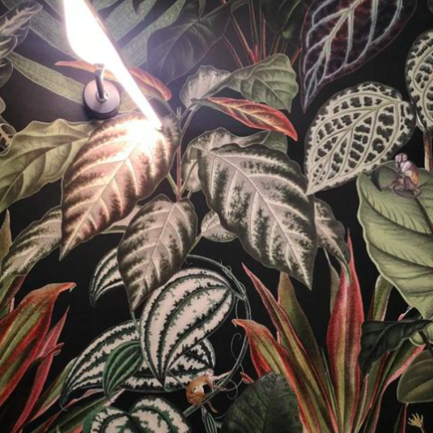 Tapet Mischievous Monkeys, Lush, cu design tropical vibrant, featuring maimuțe jucause ascunse printre frunzele luxuriante.